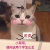 lu_jinghui