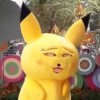 Yellow fox