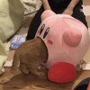 郭雅各