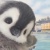 涵涵