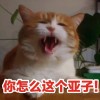 lucky_voice_gqu