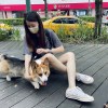 Pig_lin