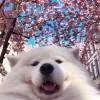 Lucy_