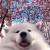 Lucy_