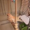 LULU