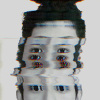 SinYu