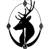 lyjosh0048