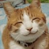 Hotaru.PM
