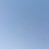 茻
