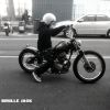 娜斯達克(Ivan)
