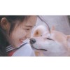 M_miao__