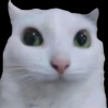 w9b