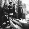 Mace'pa-我的家鄉(Demo)