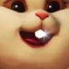 张细腻