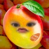 madmaddi