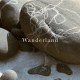 Wanderland