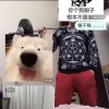 maladona_wang