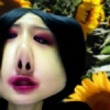 忙狗 花