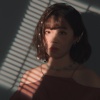 毛栗可惹