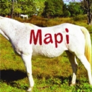 MaPi徵友頌
