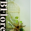 BFlores 花藝.設計