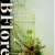 BFlores 花藝.設計