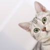 涵