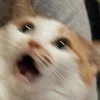 方