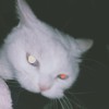 marshallotz