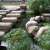 matharden