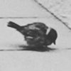 夸鼻抱抱先生