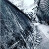 maxchen233