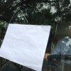 謝芒友 aka ShameOnYou