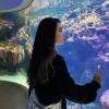 海棠湾.