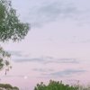 堇荼如饴