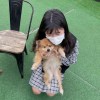 卡西