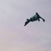 z7ero