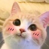JJR