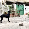 街道夜生活