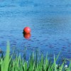 metaphor_