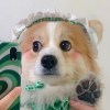 你是個好人