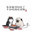 某高同学
