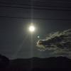 梅鹤琥珀川