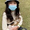 呆呆獸