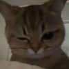 晨昏定时