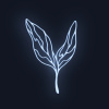 迷藍草 Midnight herb