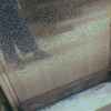 陳曉菁