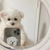 miliky
