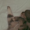 milly_huang