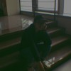 Milo_Wu